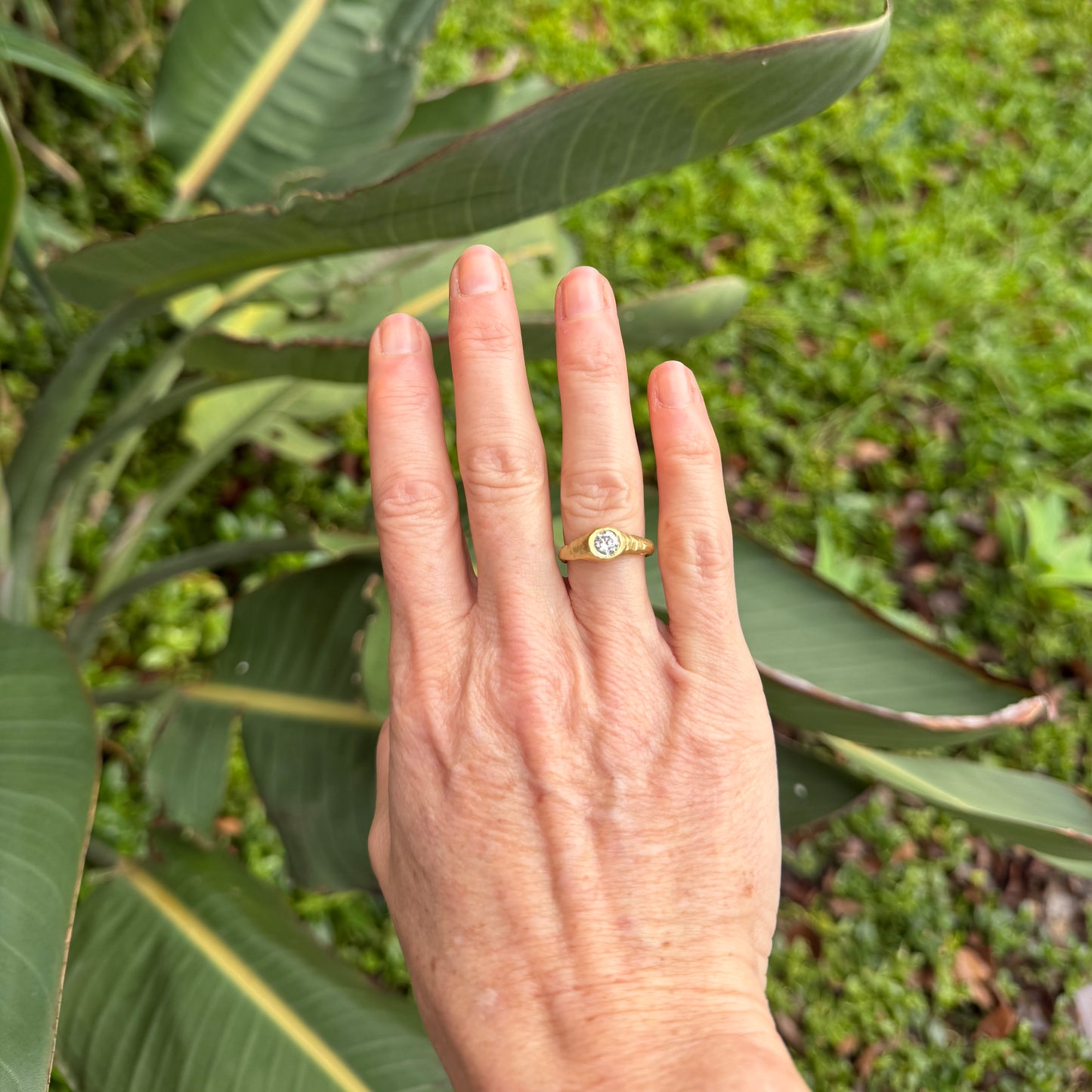 Dune ring